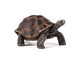 MOJO Giant Turtle Realistic International Wildlife Toy Replica Hand Painted Figurine