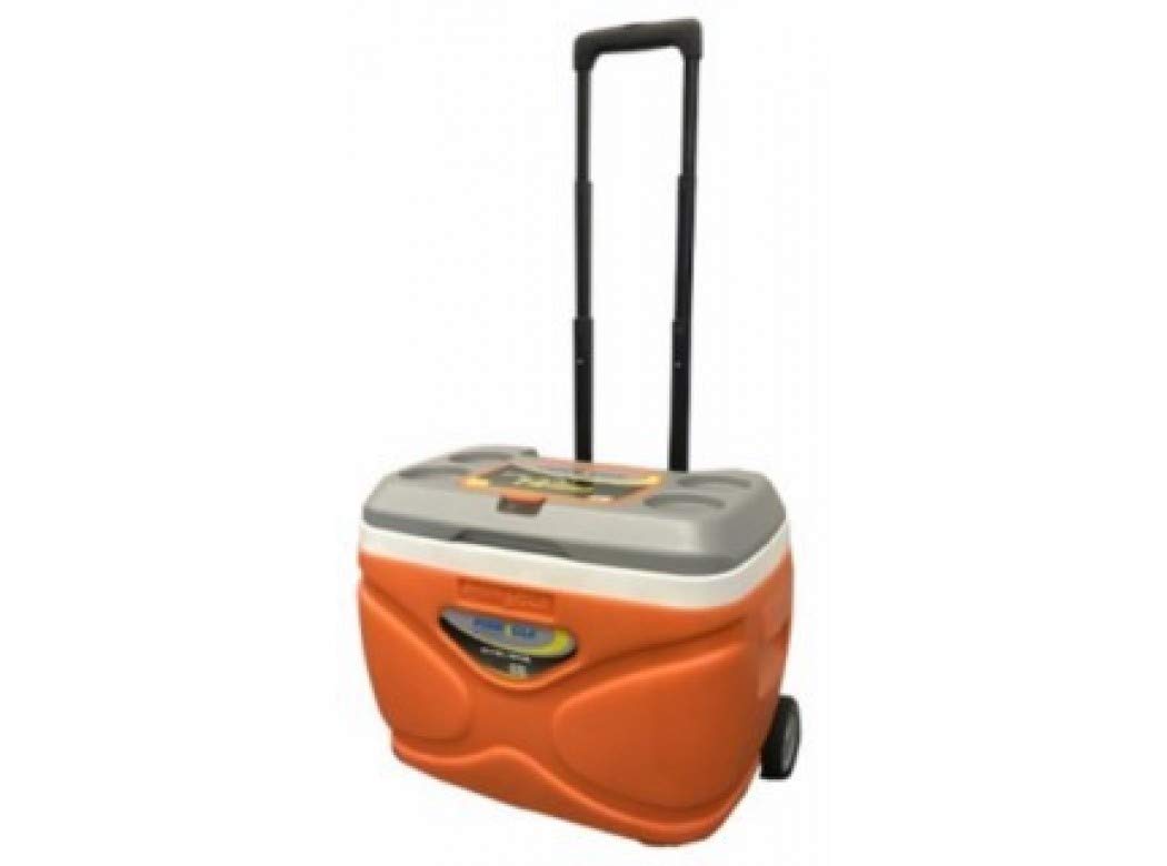 Pinnacle Nevera portátil 30 litros Roller Ruedas