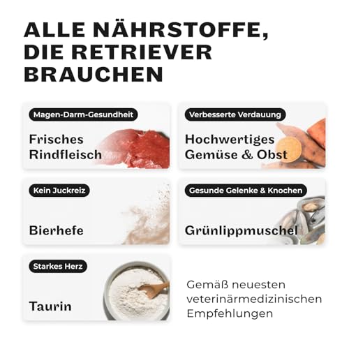 HEY HOLY Premium Trockenfutter für Molosser 100% getreidefrei | 14kg hypoallergenes Hundefutter für ausgewachsene Molosser mit Rind | Hochverträglich aus natürlichen Zutaten