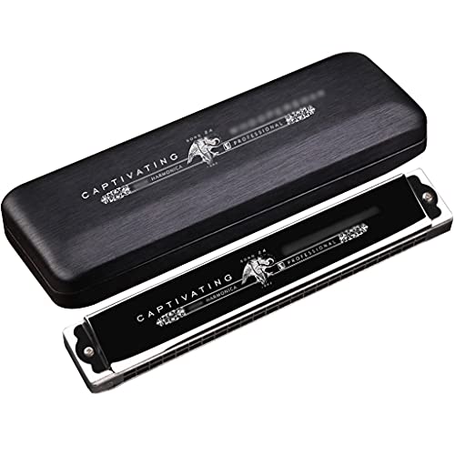 WXBHOZ Mouth Organ Harmonica,Adult Student 24-hole 24-tone Tremolo C Harmonica, Beginners Practice Playing The Pocket Harp, Gifts For Music Lovers (Color : Black, Size : Tremolo C)