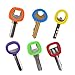 ManLee 20pcs Cubre Llaves Silicona Funda Llaves Casa Flexible Cubierta de Llave...
