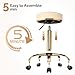 OmySalon Rolling Stool with Wheels, Vanity Salon Massage Roller Stool, Swivel Spa Chair Height Adjustable, Hair Stylist Chair for Beauty Salon Bar Tattoo Home, White Luxury