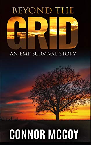 BEYOND THE GRID: An EMP Survival story