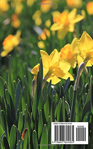Password Book: Yellow Daffodil Notebook to Log Usernames and Passwords - Image 2