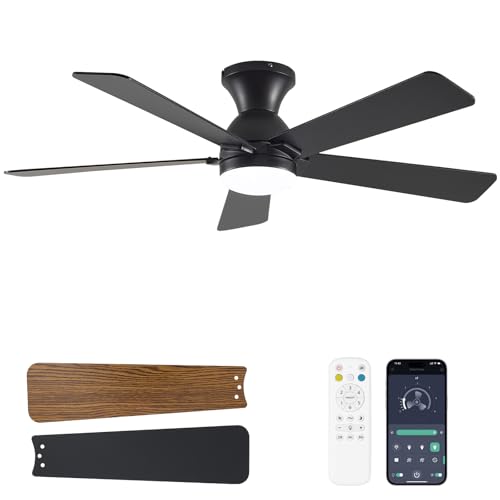 Dolavast Ceiling Fans with Lights and Remote, 48 Inch Ceiling Fan with Light, Low Profile Reversible...