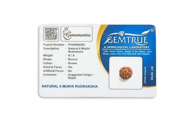 Image of Gemsmantra Energized 6 Mukhi Rudraksha Bead with 92.5 Sterling Silver Pendant, Original Nepali Lab Certified, Natural Spiritual Jewelry for Men and Women (Medium Size)