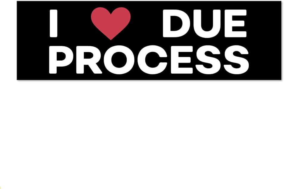 I Love Due Process Sticker or Magnet, Pro Immigration Sticker or Magnet, Reusable Car Magnets for Bumper Fridge Locker, Protect Immigrants Sign, Human Rights Car Accessories