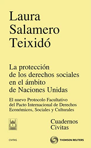 Proteccion de los Derechos Sociales en el Ambito de Naciones Unid As