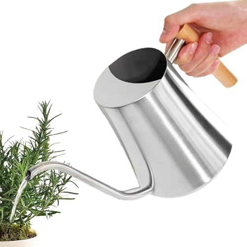Yonuaret Lata de agua de metal, maceta con boquilla larga, capacidad de 1 litro, para interiores y exteriores, jardín, flores, suculentas
