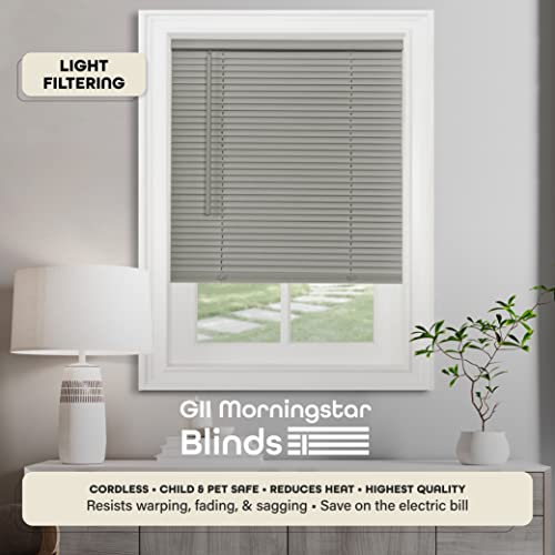 image for Cordless Light Filtering Mini Blind - 48 Inch Width, 64 Inch Length, 1