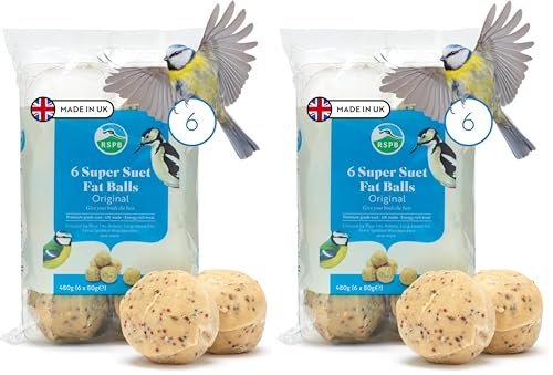 Image of RSPB - Fat Balls for Birds, High Energy Suet Balls, Made in the UK, Delicious and Nutritious Bird Food, Suitable for Year-Round Feeding (12 Pack)