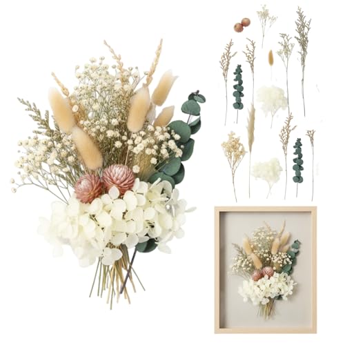 Flores secas naturales para manualidades, set decorativo con 5-6 tipos variados, colores surtidos, ideales para decoración creativa en el hogar y proyectos DIY
