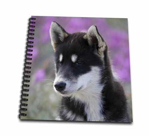 Livre de dessin de Sisimiut Groenland avec motif jeune chien husky de 8x20,3 cm