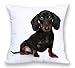 Produktbild The Beach Stop Dekorativer Kissenbezug für Hunde, Welpen, Tierliebhaber, Damen, Herren und Haustiere, 45 x 45 cm, 18 x 18 cm, sitzender Dackel, Welpe