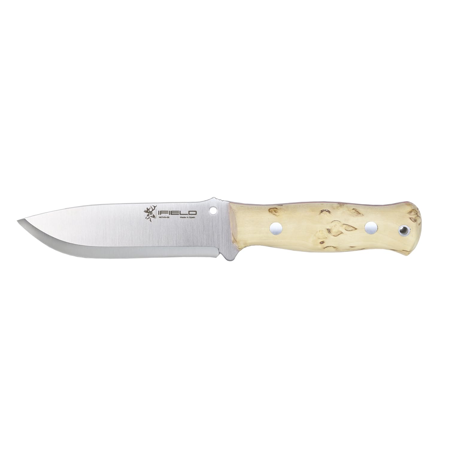 iFIELD Nóż myśliwski Bushcraft EL29124-12 cm MOVA Full Tang satynowe ostrze, kręcone uchwyt brzozowy, brązowa skórzana pochwa, wyprodukowano w Hiszpanii, kemping i narzędzie survivalowe