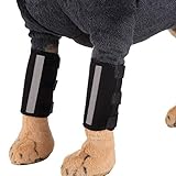 Ideal para envolver piernas para cubrir heridas y heridas.Simplemente envuelva la herida y envuélvala en el protector de la pierna de nuestro perro de apoyo para evitar la masticación.