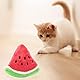 HANBOLI Hundespielzeug Wassermelonen Plüsch Quietscher Spielzeug für kleine mittelgroße Hunde Haustiere Haltbares Haustier Geschenk Tauziehen Interessantes Spielzeug für Langeweile