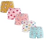 LEMONBABY My Little Pony Little Girls' Assorted Boxer Briefs (Pack of 5)
