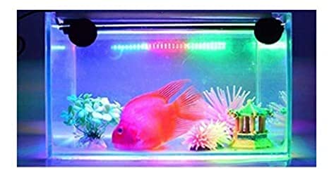 Kapoor Pets™ LED Aquarium Light/Lamp (Freshwater Fish Tank, Saltwater Fish Tank) White Blue, RS 300LE LED LAMP (B09CTPHYZ3) Amazon Price History, Amazon Price Tracker