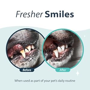 Dental Fresh Water Additive for Dogs, Original Formula, 32oz – Dog Breath Freshener and Dog Teeth Cleaning for Dog Dental Care– Add to Water Dental Fresh Water Additive for Dogs Original Formula 32oz–Dog Breath Freshener and Dog Teeth Cleaning for Dog Dental Care Add to Water