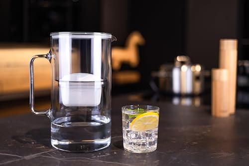 Wessper Glass Water Filter Jug, 2.5 L, Compatible with Brita Water Filter Cartridges, Includes 1 Water Filter Cartridge, Reduces Limescale and Chlorine, Grey