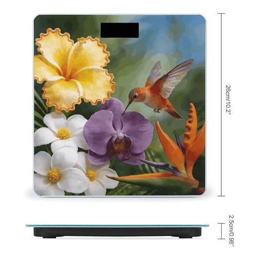 Báscula digital con pantalla LCD y cinta métrica miniatura 2