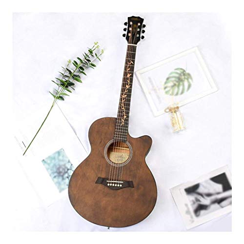 DYB Guitare Acoustique épicéa Accordeur en métal Cordes en Laiton Kit de démarrage pour débutant de Sac à Dos de Guitare… - Les Beatles, Paul McCartney, John Lennon, RIngo Starr, George Harrison DYB Guitare Acoustique épicéa Accordeur en métal Cordes en Laiton Kit de démarrage pour débutant de Sac à Dos de Guitare…