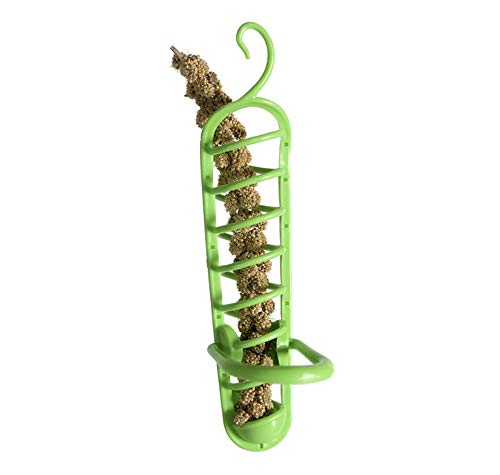 Parrot Bird Treat Holder- Hanging Plastic Bird Food Feeders for Fruit Vegetable Grain Wheat, Parrots Feeder Basket Foraging Toys for Birdcage, Bird Cage Feeding Device for Conures Parakeets Cockatoos - Thumbnail 6