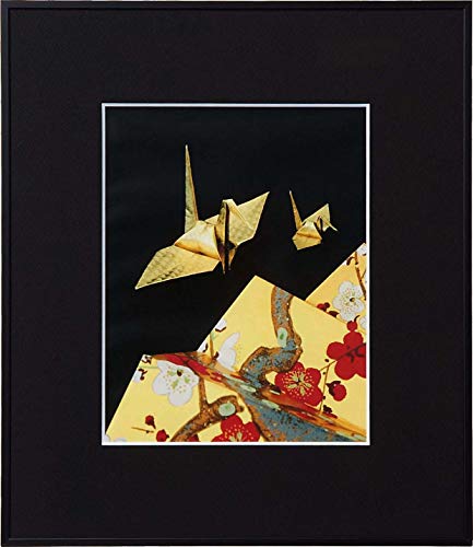 Kenko �A���~�z�� �P���R�[ ��L �K���X�^�C�v �l�� �u���b�N AGR-4-BK