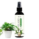 Fertilizzante per piante d'appartamento Legno brasiliano - Alimento liquido per piante, soluzione nutritiva | Formula speciale da 100 ml per piant da interno bonsai verde, fiori, erbe, pian