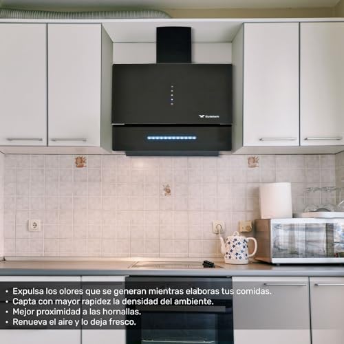 Estufas Y Campanas, Kitchen campana extractora Marca RACK & PACK (2)