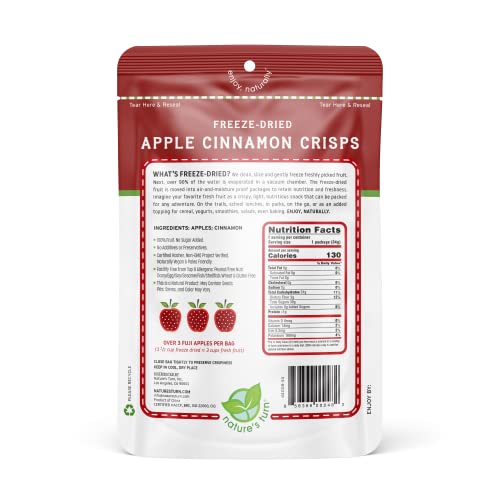Freeze-Dried Apple Cinnamon Fruit Snacks by Nature's Turn, Pack of 6 (1.2 oz Each) - for a general audience.