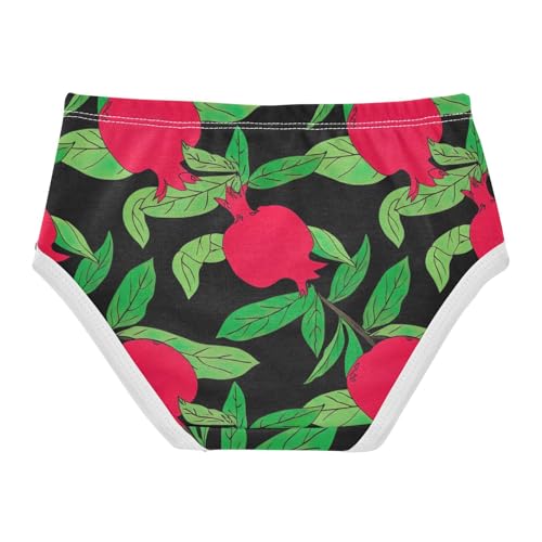 Animal Toddler Underwear Floral 2t Cotton Panties Little Girl Red Pomegranates Green Leaves Dark Briefs Girls Undies2