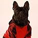 Fitwarm Plaid Pet Clothes for Dog Sweatshirts Cat Pullover Hooded Shirts Red Medium