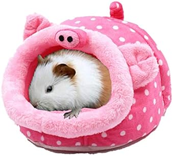 blanket over guinea pig cage