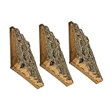ifundom 3stücke Kork-rückwand Für Terrarien Naturbark Hintergrund Für Reptilienbecken Gecko Habitat Deko Langlebige Und Wiederverwendbare Terrarium-rückwand