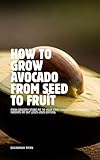 How to Grow Avocado from Seed to Fruit: Complete Timeline β From Pit to First Homegrown Avocados 2025β2026 Edition