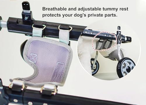 Silla de ruedas ajustable para perros con arnés de soporte abdominal y de cadera 4