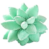 Material de micro forro polar: el cojín está hecho de microforro polar supersuave, relleno de 100% algodón PP y el relleno es completo, lo que hace que las plantas suculentas se vean más llenas