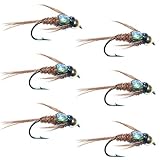 The Fly Fishing Place Bead Head Flash Back Pheasant Tail Nymph Fly Fishing Flies - Trout and Bass Wet Fly Pattern - 6 Flies Hook Size 16