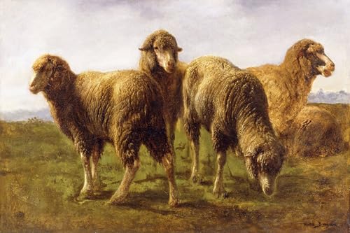 Impression d'art Rosa Bonheur Moutons broutant : une toile haut de gamme de 60x90 cm