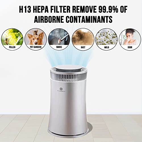 Premium Air Purifiers For Home Large Room, Air Purifier For Bedroom H13 True Hepa Filter Removes Up To 99.97% Of Pet Dust Smoke Pollen, Air Cleaner For Office, Living Room - Silveronyx 5-Speed Silver #TOP2