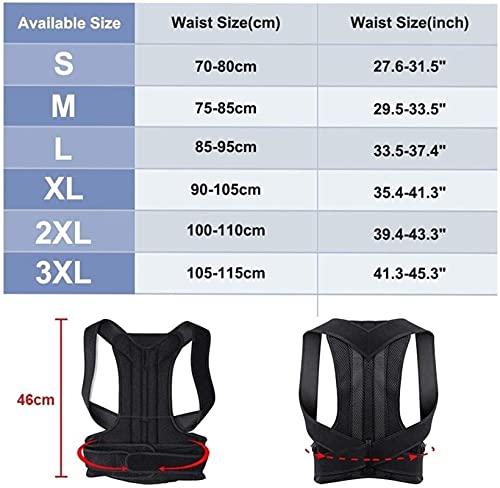 Cinturón Soporte Lumbar Ajustable para Postura Correcta miniatura 3