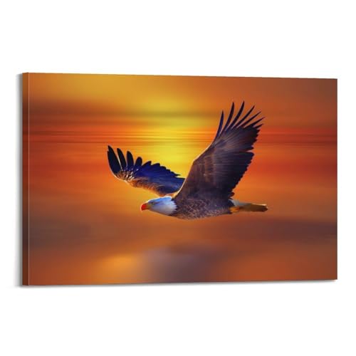 Poster animal aigle volant habiller un mur vide deco chambre adulte toile 60x90cm