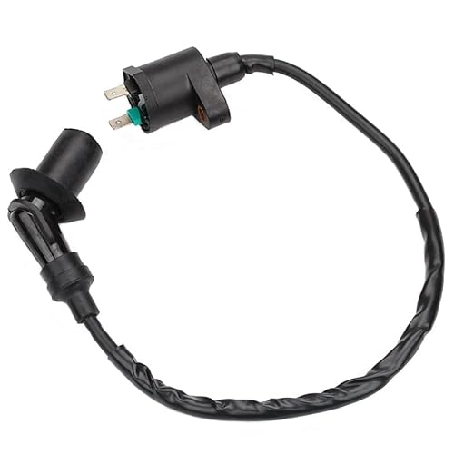 Bobine D'allumage, Volant D'inertie, Stator, CDI, Magnéto Pour Scooter GY6 JH125-8