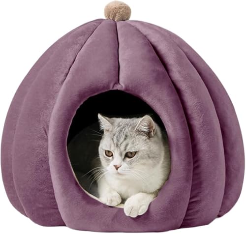 L xbh ybg nEX h[^ ӂӂ  J{` _炩 NbVt \tg ~ 􂦂 Q g h Lbg ^  ybgpi ~ (t[,p[v)