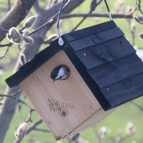 Nature's Way Bird Products CWH1 Cedar Wren House, 8" x 8.875" x 8.125", standard, Brown - image 7