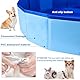 Faltbar Hundepool,PVC Hundepool,Schwimmbad für Hund,Hunde Planschbecken für Haustiere,Faltbarer Hundepool für Kleine Hunde,Hunde Schwimmbecken für Hund,Kinderschwimmbad, 50x8 cm, 1 Stück