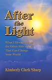 AFTER THE LIGHT: What I Discovered on the Other Side of Life That Can Change Your World