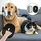 2 Stück Pet Hair Remover Katzenhandschuh, Doppelseitige Fellpflegehandschuh Für Pets, Wiederverwendbarer Tierhaarentferner Handschuh, Antistatischer Haarentfernungshandschuh Für Sofa Kleidung Teppich